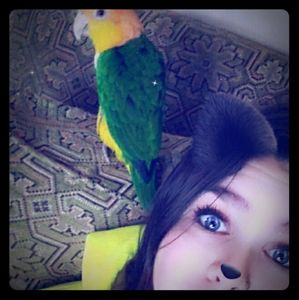 Always make an Offer or ask a question!